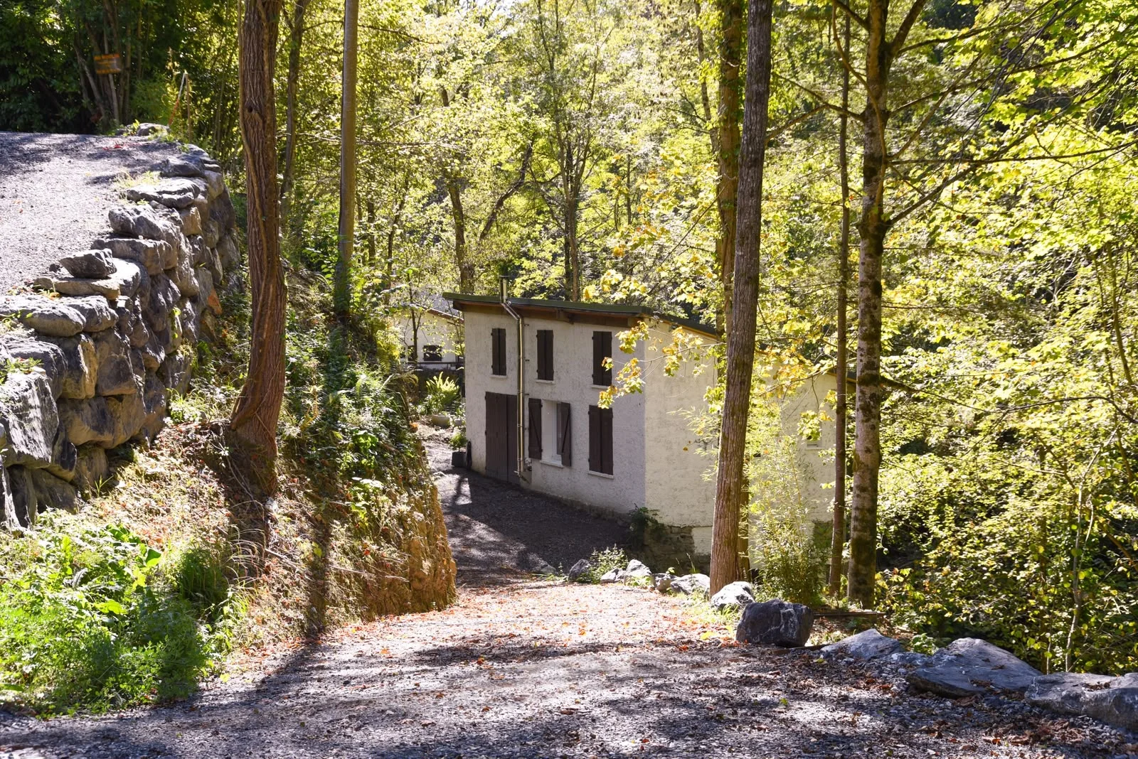 Chemin forestier descendant vers le gîte Au Moulin